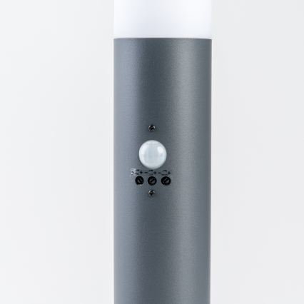 BRILAGI - Außenleuchte mit Bewegungsmelder ELIA 1xE27/20W/230V IP44 100 cm anthrazit