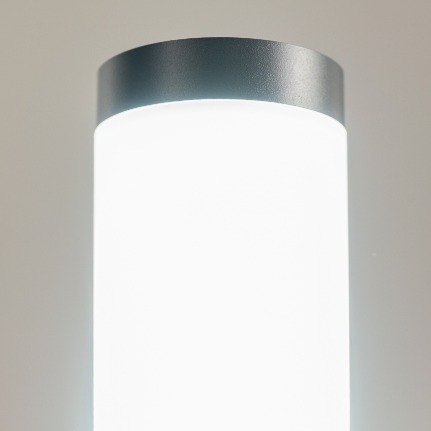 BRILAGI - Außenleuchte mit Bewegungsmelder ELIA 1xE27/20W/230V IP44 100 cm anthrazit