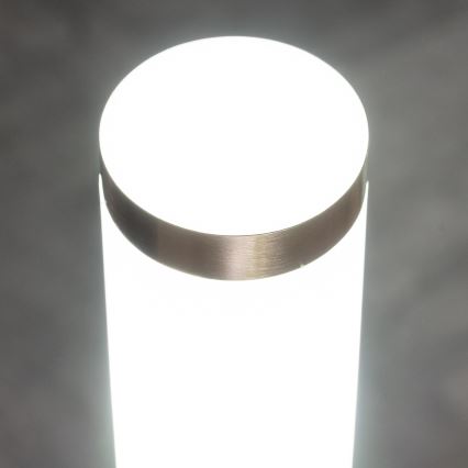BRILAGI - Außenleuchte mit Bewegungsmelder ELIA 1xE27/20W/230V IP44 100 cm mattchrom