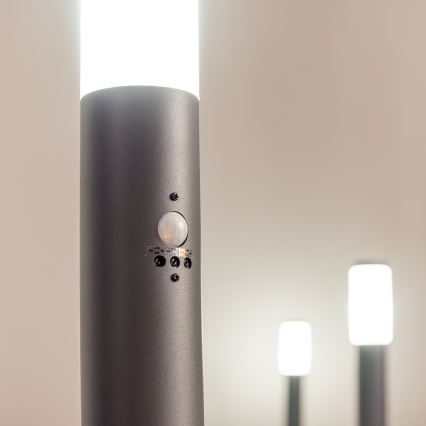 BRILAGI - Außenleuchte mit Sensor ELIA 1xE27/20W/230V IP44 50 cm Anthrazit