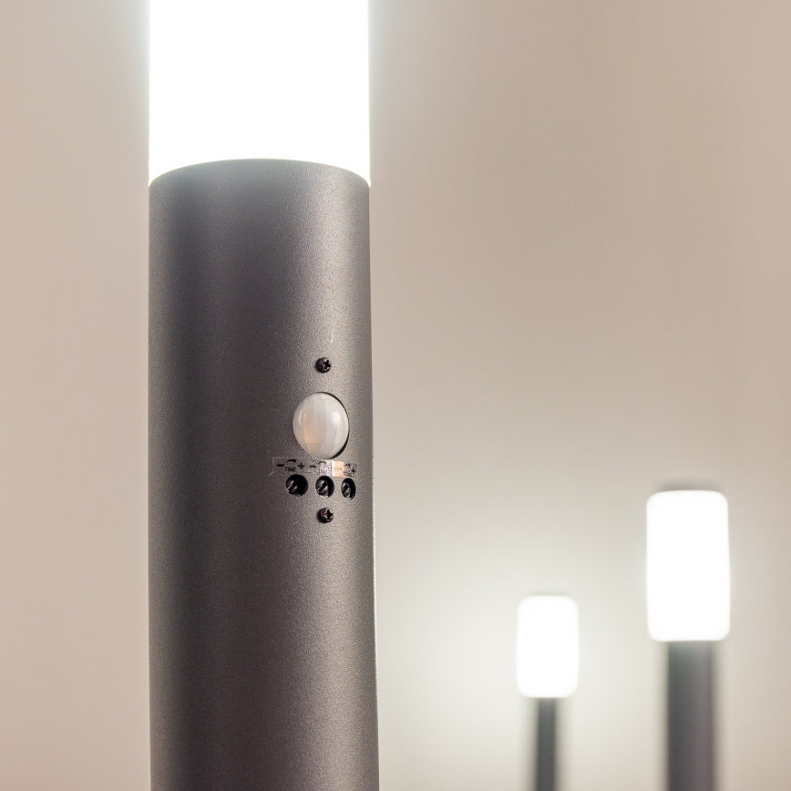 BRILAGI - Außenleuchte mit Sensor ELIA 1xE27/20W/230V IP44 50 cm Anthrazit