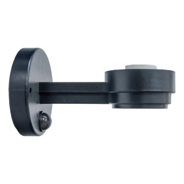 BRILAGI - Außenwandleuchte mit Bewegungs- und Dämmerungssensor HARBOR ISLAND 1xE27/40W/230V 20 cm IP33 schwarz
