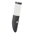 Brilagi - Außenwandleuchte mit Bewegungsmelder ELIA 1xE27/20W/230V IP44 Anthrazit