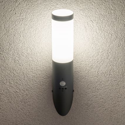 BRILAGI - Außenwandleuchte mit Bewegungsmelder ELIA 1xE27/20W/230V IP44 Anthrazit