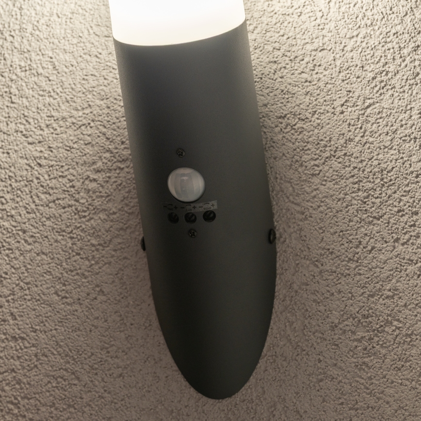 BRILAGI - Außenwandleuchte mit Bewegungsmelder ELIA 1xE27/20W/230V IP44 Anthrazit