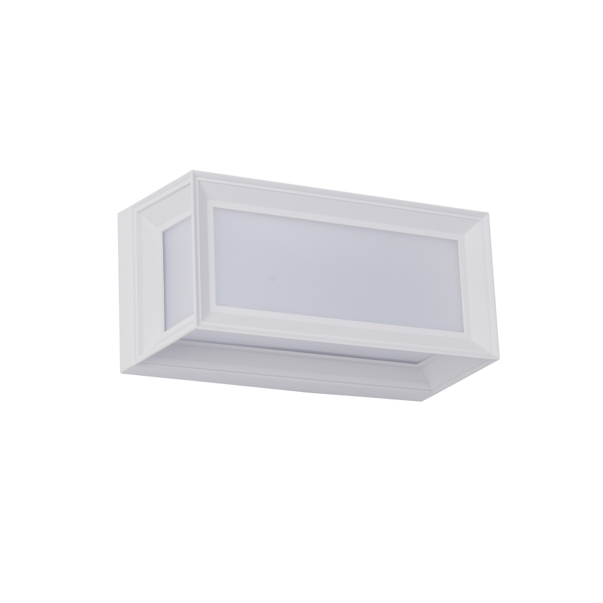 Brilagi - Außenwandleuchte PARKER 1xE27/60W/230V weiß IP44