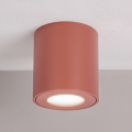 BRILAGI - Badezimmer-Spot MIA 1xGU10/30W/230V 84x80 mm braun IP54