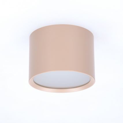 BRILAGI - Badezimmer-Spot SMOOTH 1xGX53/15W/230V 60x82 mm beige IP54