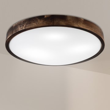 Brilagi - Deckenleuchte CARVALHO SLIM SMOKEY 3xE27/60W/230V Eiche Ø 47,5 cm