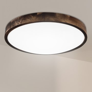Brilagi - Deckenleuchte CARVALHO SMOKEY 3xE27/60W/230V Eiche, Ø 47,5 cm