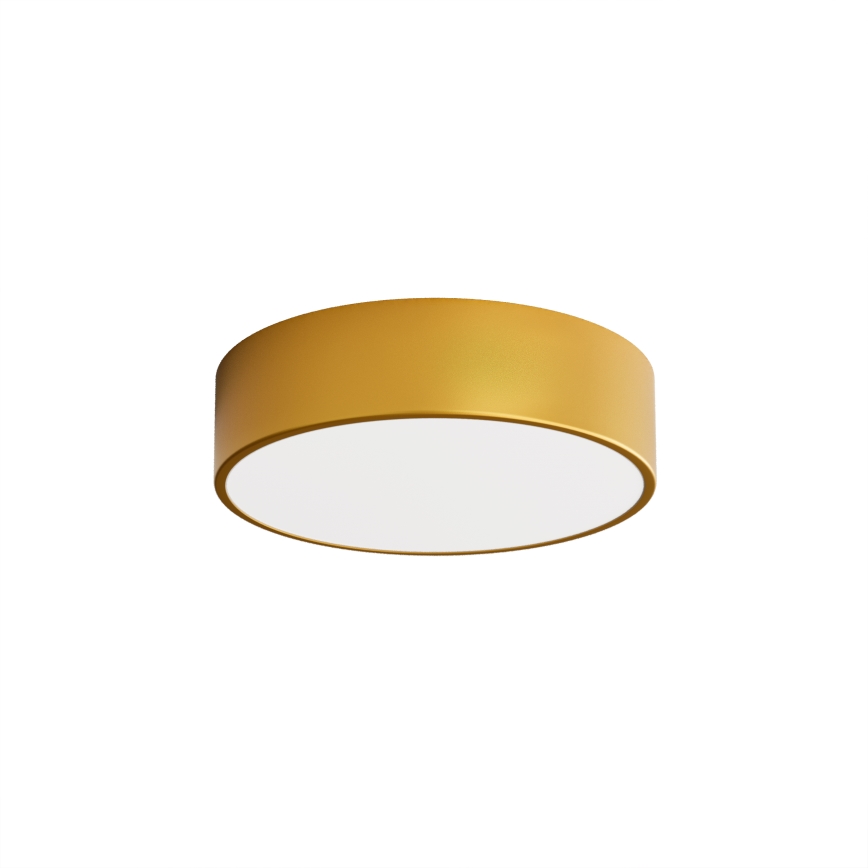 Brilagi - Deckenleuchte CLARE 2xE27/40W/230V d 30 cm golden