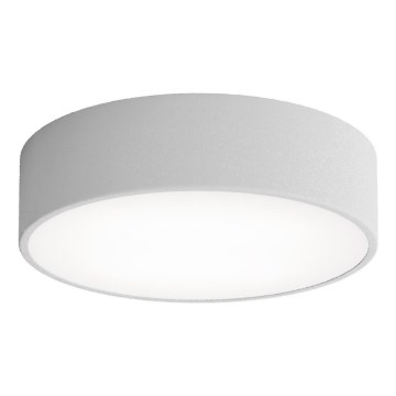 Brilagi - Deckenleuchte für Badezimmer CLARE 2xE27/24W/230V d 30 cm IP54 grau