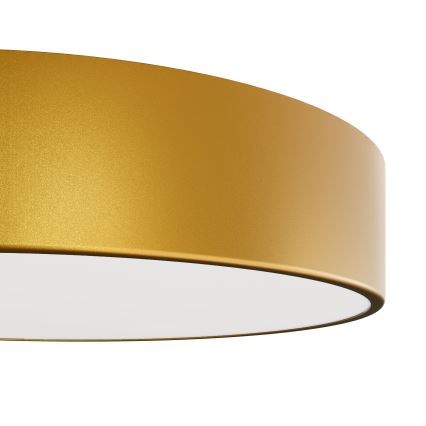 Brilagi - Deckenleuchte für Badezimmer CLARE 3xE27/24W/230V d 40 cm IP54 golden