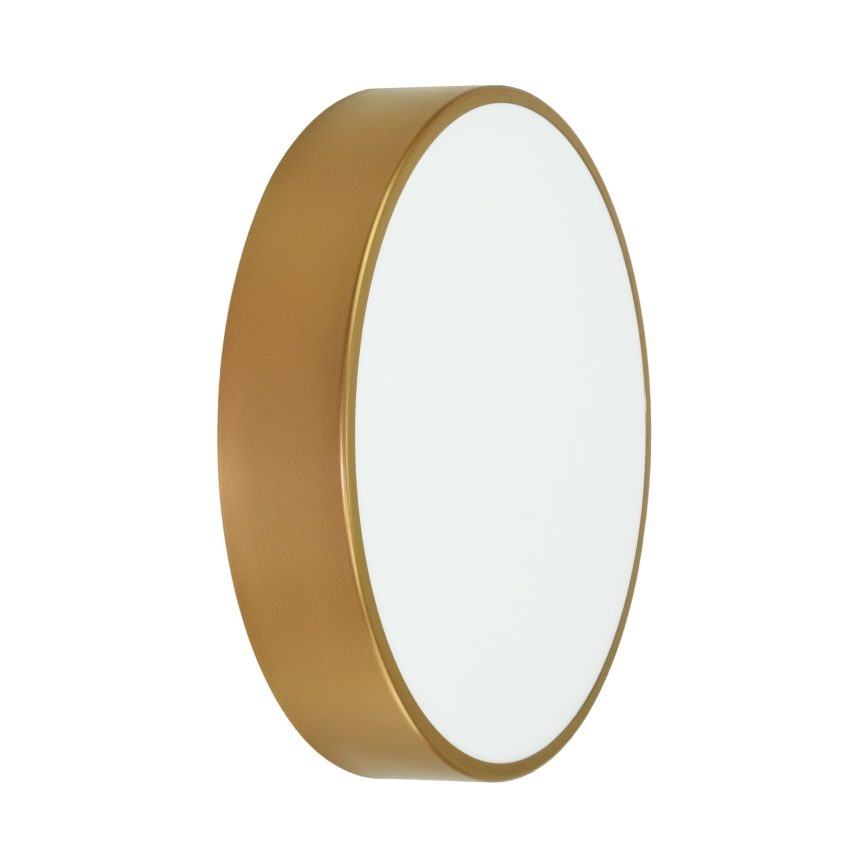 Brilagi - Deckenleuchte für Badezimmer CLARE 3xE27/24W/230V d 40 cm IP54 golden
