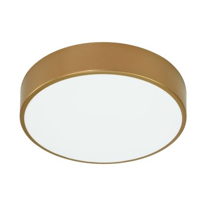 Brilagi - Deckenleuchte für Badezimmer CLARE 3xE27/24W/230V d 40 cm IP54 golden