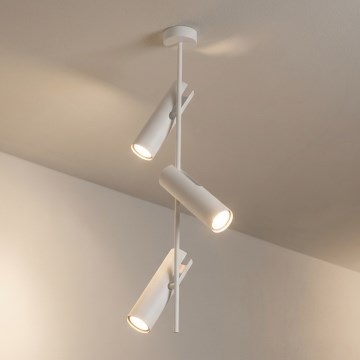Brilagi - Deckenleuchte mit Stange BRANCH 3x GU10/30W/230V weiß