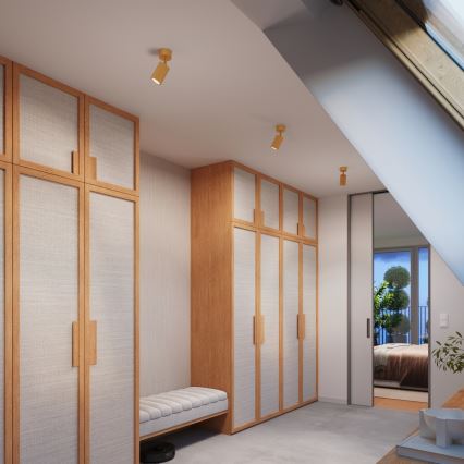 Brilagi - Deckenspot CRESTO 1xGU10/10W/230V gold