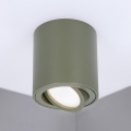 BRILAGI - Deckenspot MIA 1xGU10/30W/230V 84x80 mm dunkelgrün