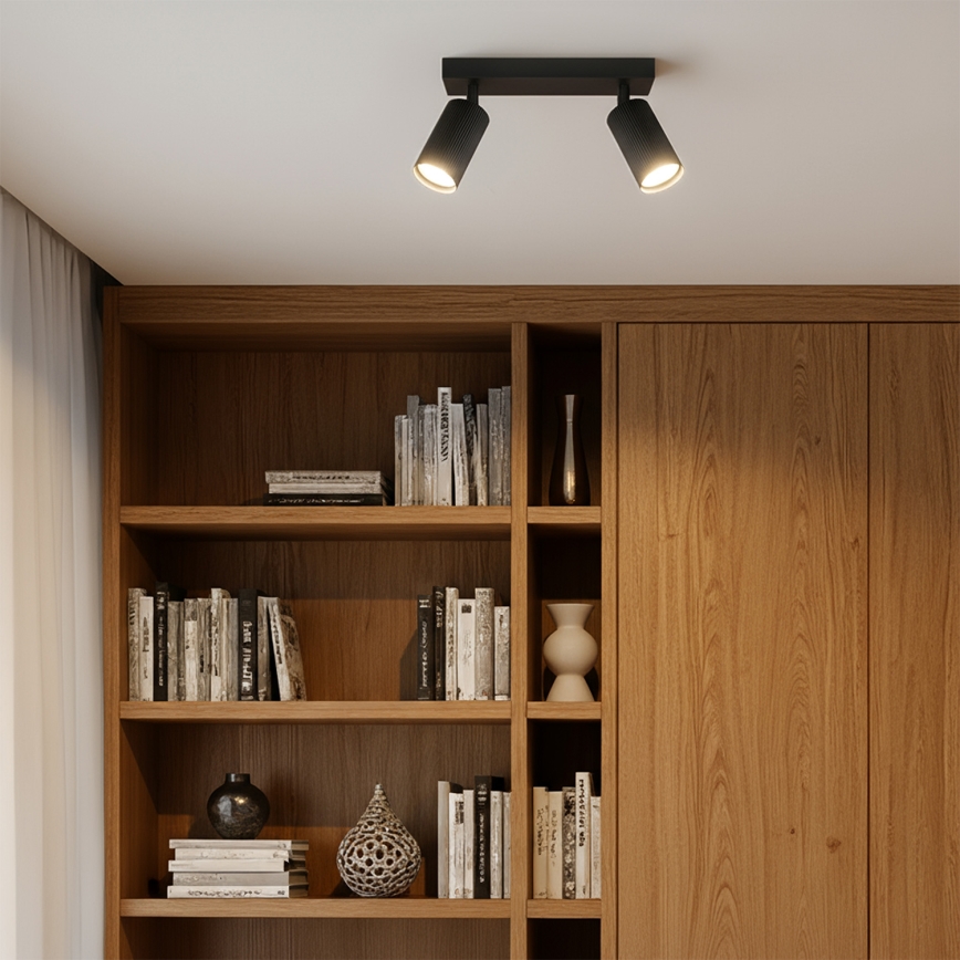 Brilagi - Deckenspot SELE MODERN 2xGU10/30W/230V schwarz