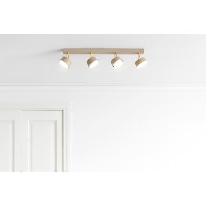 Brilagi - Deckenstrahler MONO 4xGX53/12W/230V beige