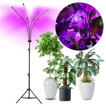 Brilagi - Dimmbare, flexible LED-Stehleuchte für die Pflanzenzucht VITABLOOM 4xLED/7,5W/230V schwarz