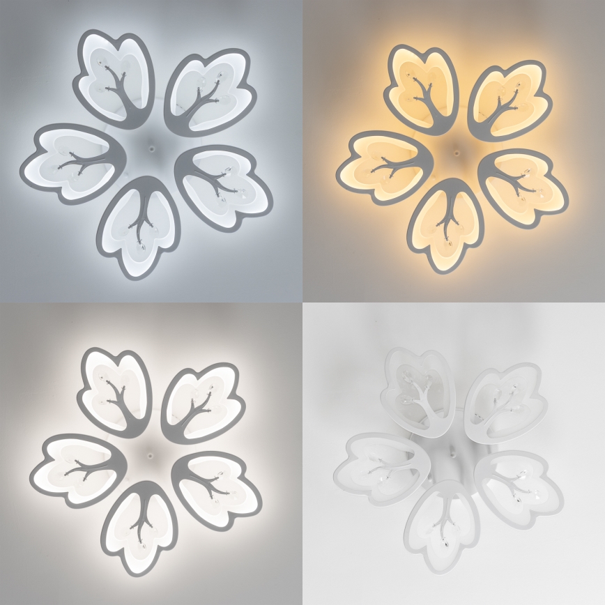 Brilagi - Dimmbare LED-Aufbauleuchte TWIST LED/80W/230V 3000-6500K weiß + Fernbedienung