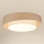 Brilagi - Dimmbare LED-Deckenleuchte DOVER SHINE LED/24W/230V 3000/4000/6500K grau/cremefarben + Fernbedienung