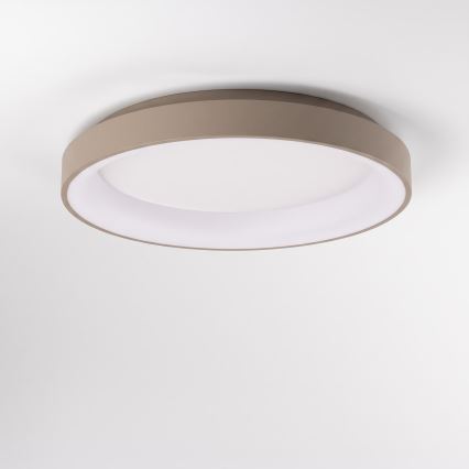BRILAGI - LED-dimmbare Deckenleuchte FALCON II LED/99W/230V 3000-6500K Ø 60 cm weiß/beige + Fernbedienung