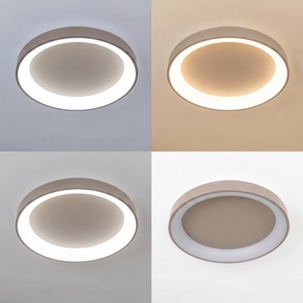 BRILAGI - LED-dimmbare Deckenleuchte FALCON II LED/99W/230V 3000-6500K Ø 60 cm beige + mit Fernbedienung