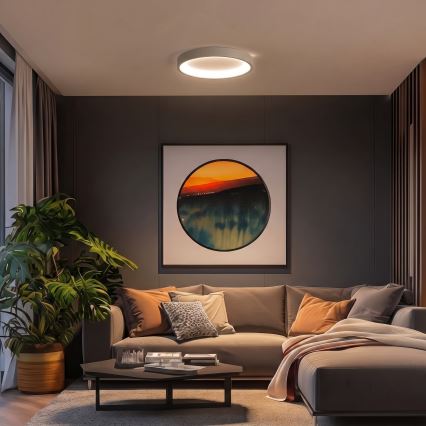 BRILAGI - Dimmbare LED-Deckenleuchte FALCON SLIM LED/42W/230V 3000-6500K Ø 50 cm beige + Fernbedienung