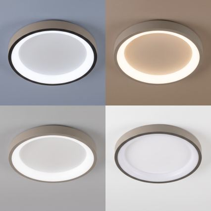 BRILAGI - dimmbare LED-Deckenleuchte FALCON SLIM LED/42W/230V 3000-6500K Ø 50 cm weiß/beige + Fernbedienung