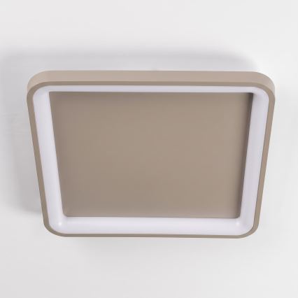 BRILAGI - LED-dimmbare Deckenleuchte FALCON SLIM LED/50W/230V 3000-6500K 50x50 cm beige + Fernbedienung