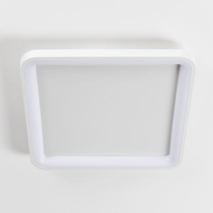 Brilagi - dimmbare LED-Deckenleuchte FALCON SLIM LED/50W/230V 3000-6500K 50x50 cm weiß + Fernbedienung