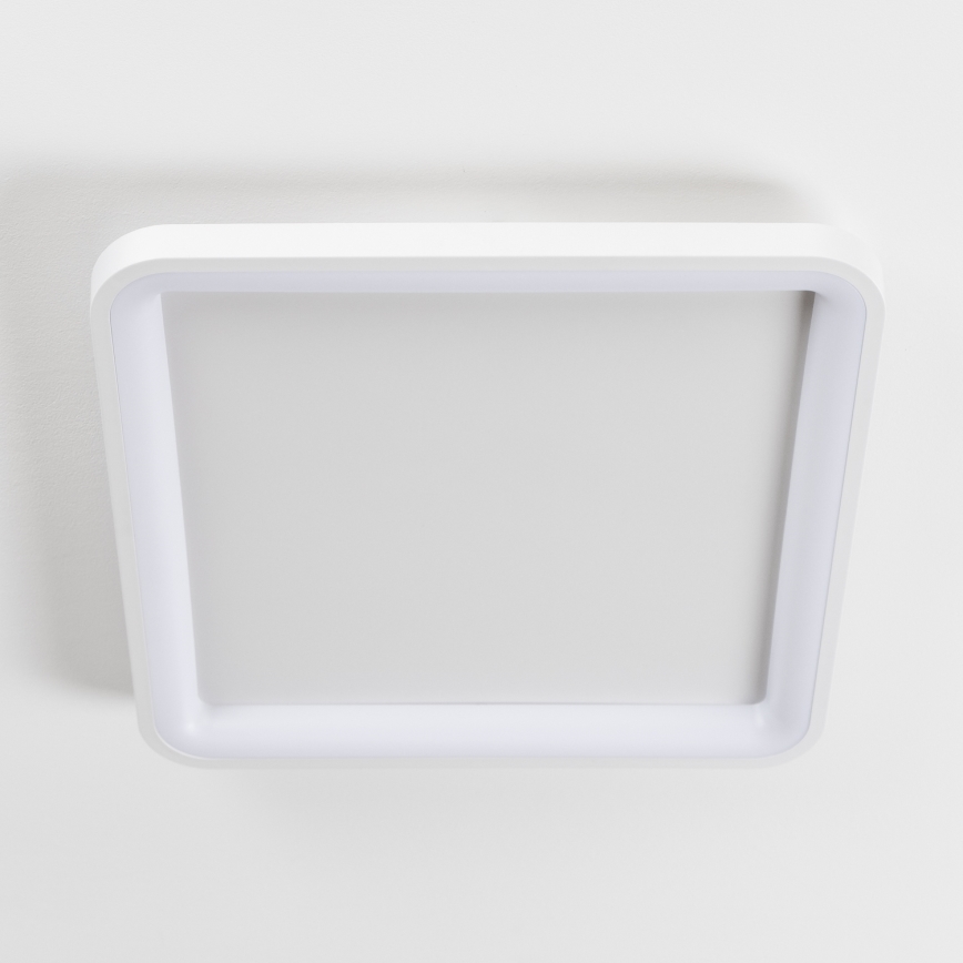 Brilagi - dimmbare LED-Deckenleuchte FALCON SLIM LED/50W/230V 3000-6500K 50x50 cm weiß + Fernbedienung