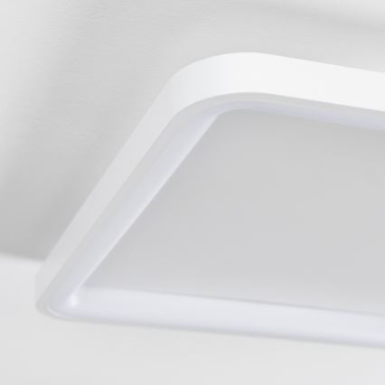 Brilagi - LED dimmbare Deckenleuchte FALCON SLIM LED/50W/230V 3000-6500K 50x50 cm Weiß + Fernbedienung