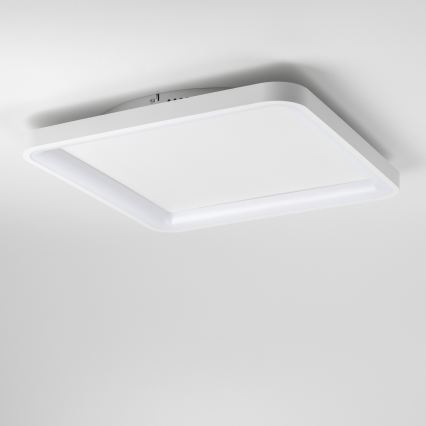 Brilagi - LED dimmbare Deckenleuchte FALCON SLIM LED/50W/230V 3000-6500K 50x50 cm Weiß + Fernbedienung