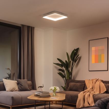 BRILAGI - dimmbare LED-Deckenleuchte FALCON SLIM LED/50W/230V 3000-6500K 50x50 cm weiß/beige + Fernbedienung