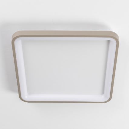 BRILAGI - dimmbare LED-Deckenleuchte FALCON SLIM LED/50W/230V 3000-6500K 50x50 cm weiß/beige + Fernbedienung