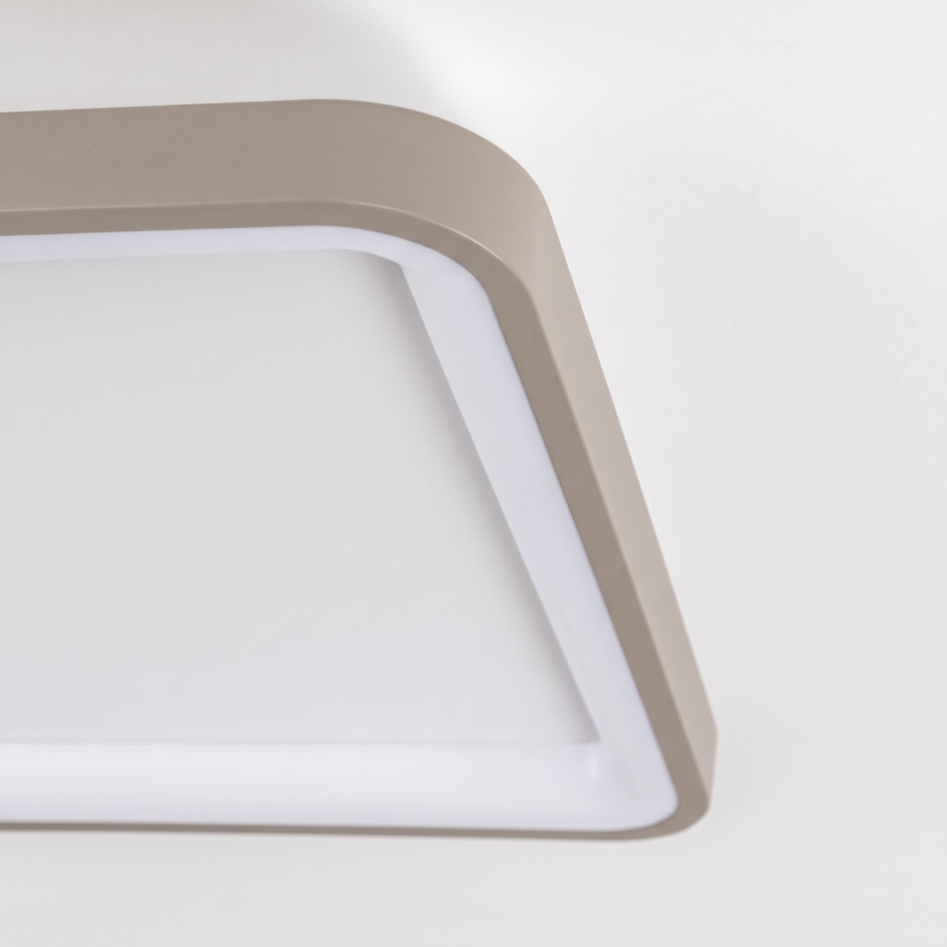 BRILAGI - dimmbare LED-Deckenleuchte FALCON SLIM LED/50W/230V 3000-6500K 50x50 cm weiß/beige + Fernbedienung