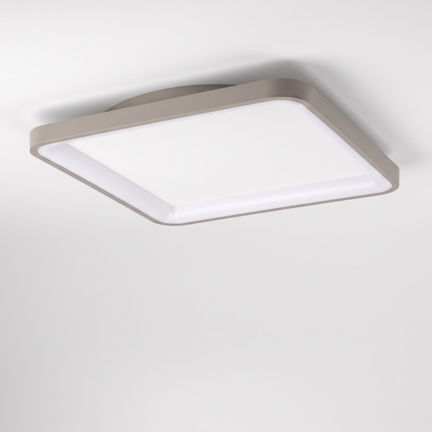 BRILAGI - dimmbare LED-Deckenleuchte FALCON SLIM LED/50W/230V 3000-6500K 50x50 cm weiß/beige + Fernbedienung