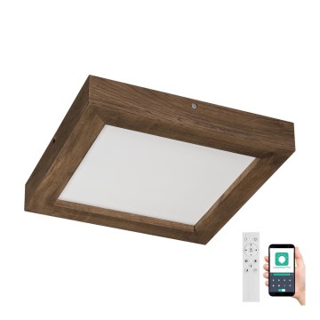 Brilagi - Dimmbare LED-Deckenleuchte für Badezimmer WOODY FRAME LED/24W/230V Eiche 30x30 cm 3000-6000K IP44 + Fernbedienung