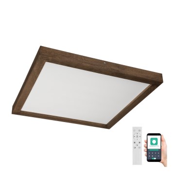 Brilagi - Dimmbare LED-Deckenleuchte für Badezimmer WOODY FRAME LED/50W/230V Eiche 60x60 cm 3000-6000K IP44 + Fernbedienung