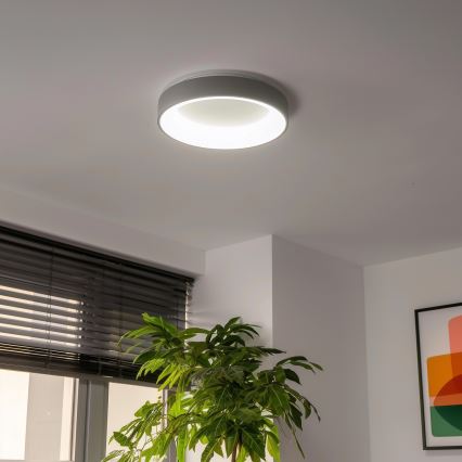 Brilagi - Dimmbare LED-Deckenleuchte FALCON LED/40W/230V 3000-6500K grau + Fernbedienung