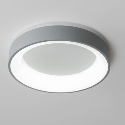 Brilagi - Dimmbare LED-Deckenleuchte FALCON LED/40W/230V 3000-6500K grau + Fernbedienung