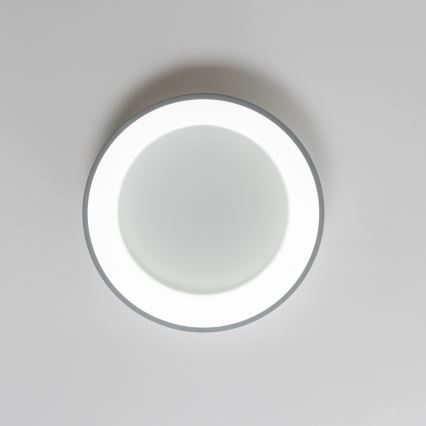 Brilagi - Dimmbare LED-Deckenleuchte FALCON LED/40W/230V 3000-6500K grau + Fernbedienung