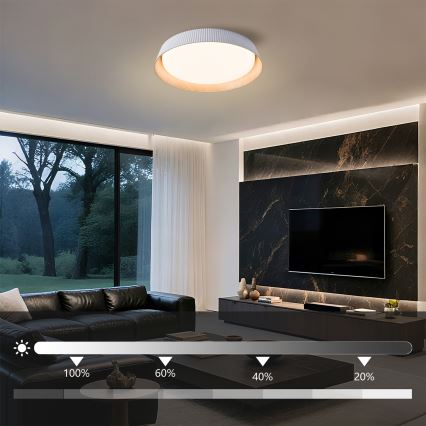 Brilagi - ORINO LED-Deckenleuchte, dimmbar, 54W/230V, 3000-6000K, weiß, Ø 43 cm + Fernbedienung