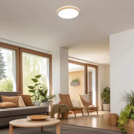 Brilagi - Dimmbare LED-Deckenleuchte PINE LED/24W/230V Ø 42 cm 3000-6500K + Fernbedienung