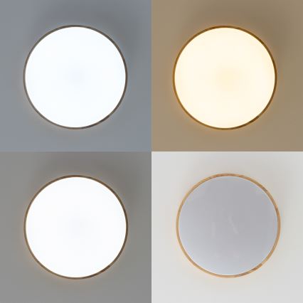 Brilagi - Dimmbare LED-Deckenleuchte PINE LED/24W/230V Ø 42 cm 3000-6500K + Fernbedienung