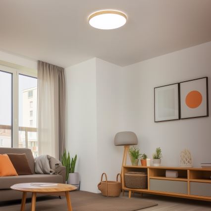 Brilagi - Dimmbare LED-Deckenleuchte PINE LED/60W/230V + Fernbedienung
