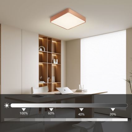 Brilagi - dimmbare LED-Deckenleuchte POOL LED/36W/230V 3000-6000K 40x40 cm bronzefarben + Fernbedienung